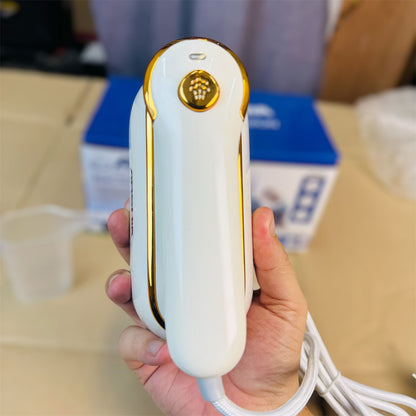 ORVICA & ARSHIA hand held steam iron