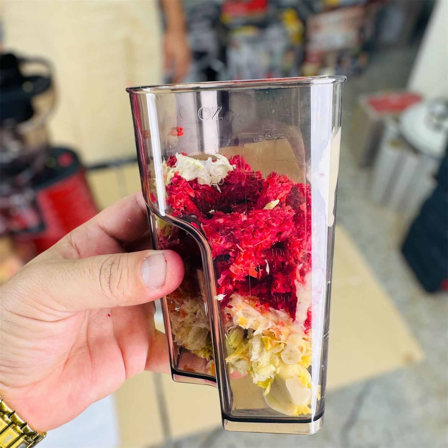 savtm 2 IN 1 Ice cream & cold press juicer JE-31 ( slow juicer )